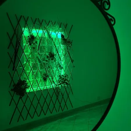 Artemide 度假居