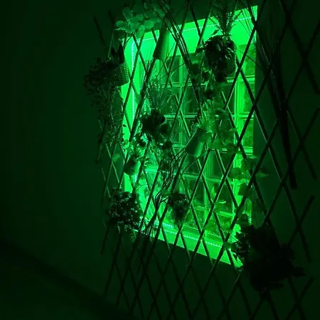 Artemide Home *